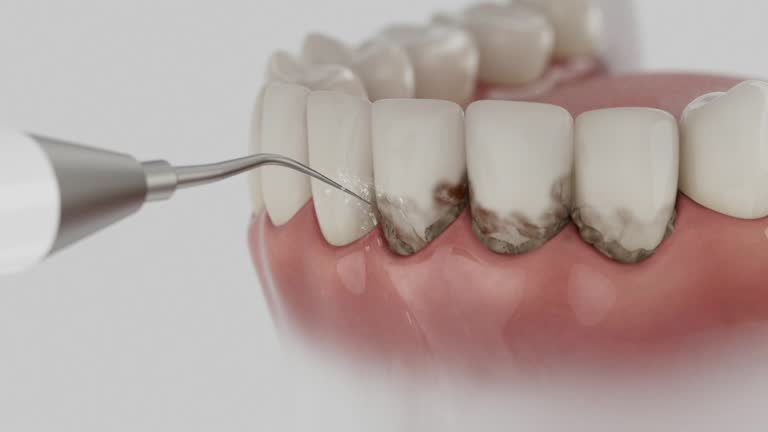 Reliable Dental contractor in Berlin, MD by Dentist Open Now